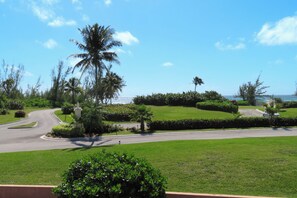 A residential area with a curved road, palm trees, and a well-maintained lawn. - Dundee Bay Villas (Freeport)