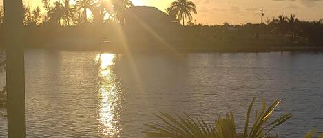 A sunset view over a body of water with palm trees and a distant hill.