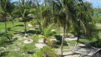 Un jardín tropical con palmeras, una hamaca y cielo despejado.
