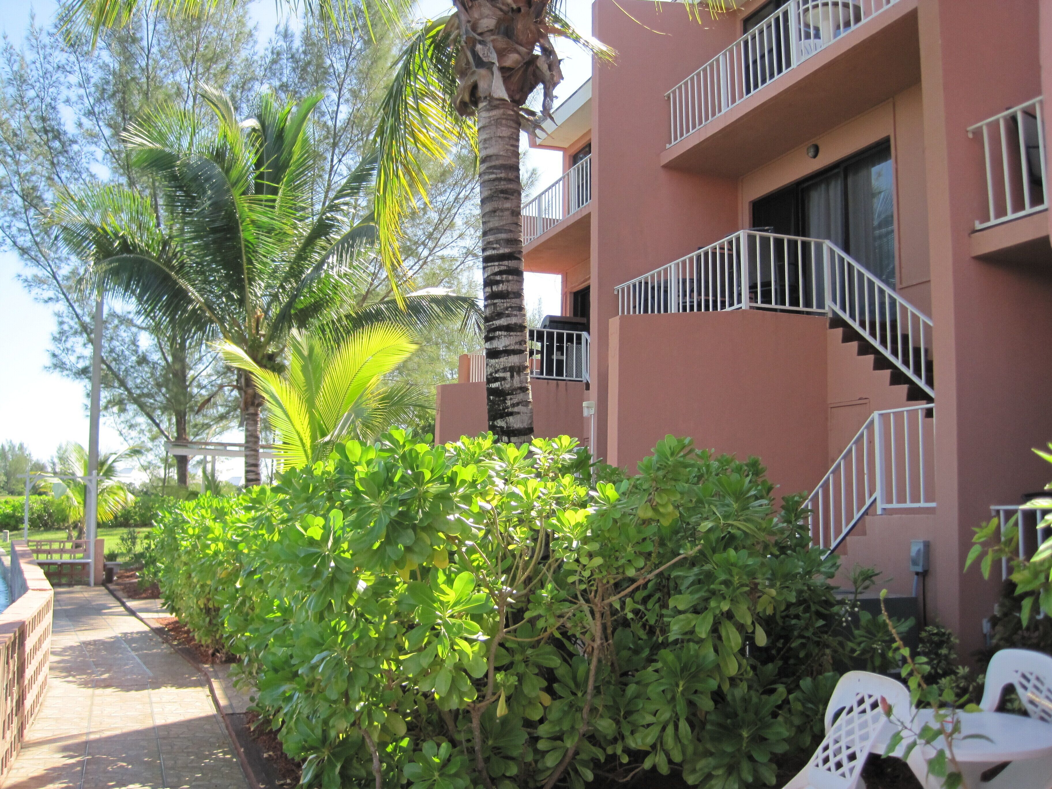 A multi-story building with balconies, a palm tree, and a pathway leading to outdoor seating.