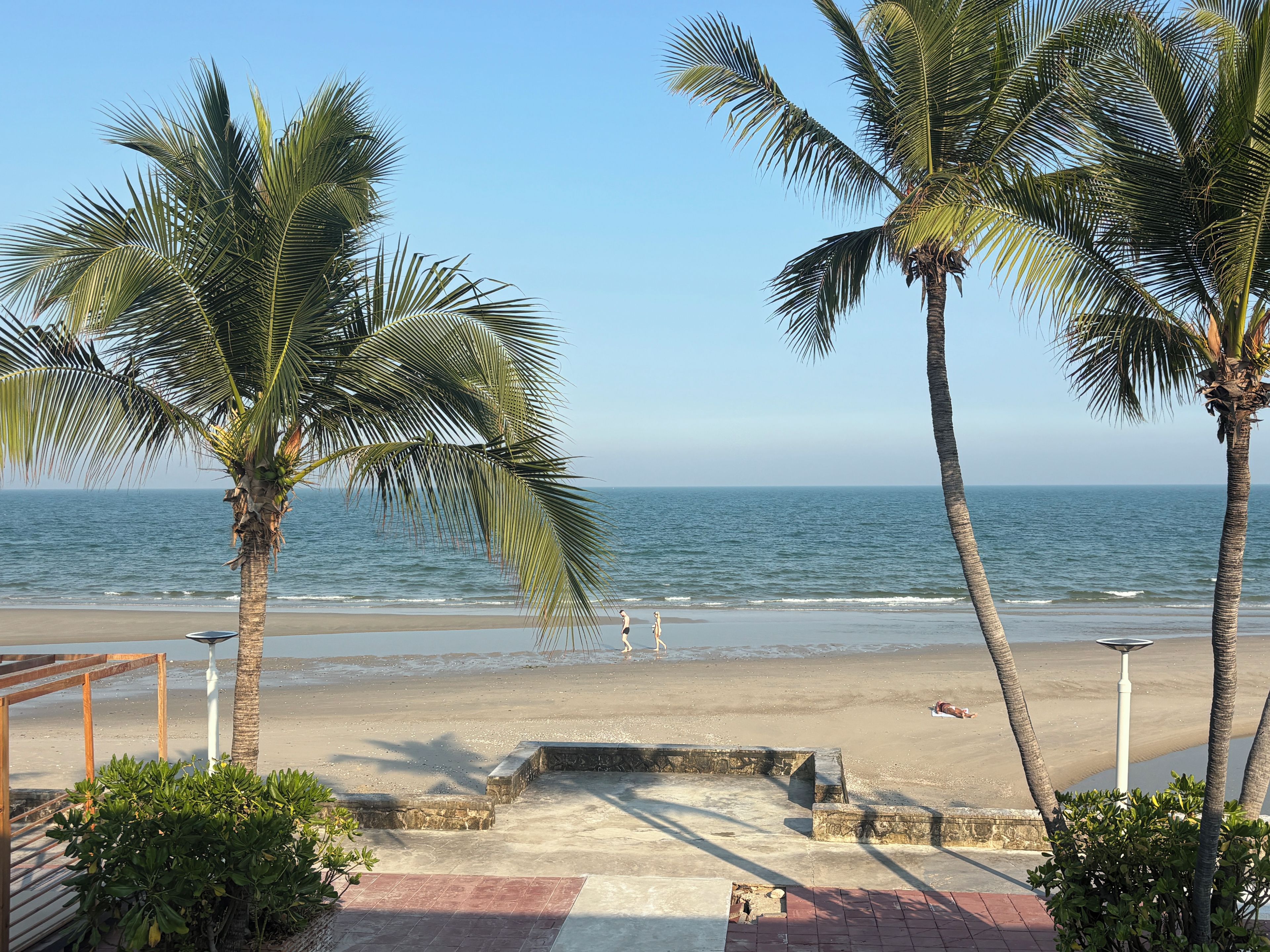 A beach with palm trees, a clear sky, and the ocean.