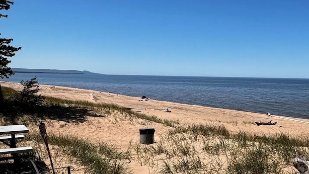 Una playa con una mesa de picnic, un basurero y vegetación escasa.