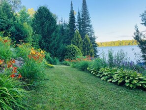A garden with a grassy path, various plants, and tall trees.