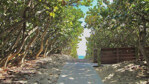 Ein von Bäumen gesäumter Weg führt zum Strand, begleitet von einem Holzzaun.