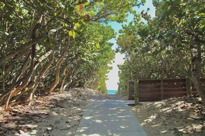 Ein von Bäumen gesäumter Weg führt zum Strand, begleitet von einem Holzzaun.