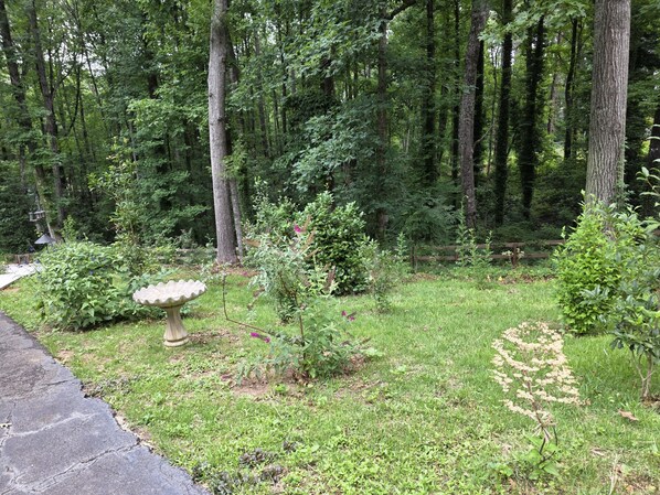 A garden with a stone birdbath, various plants, and a wooden fence. - Private Forest Retreat —Atlanta's Best-Kept Secret. (Snellville)