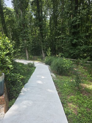 A concrete pathway through a forested area with dense trees and greenery on both sides.