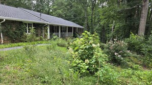 Une maison dotée d’un porche, entourée d’une végétation luxuriante et d’arbres.