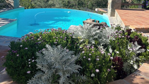 Ein Pool mit Blick auf die Berge, umgeben von Grünpflanzen und Blumen.