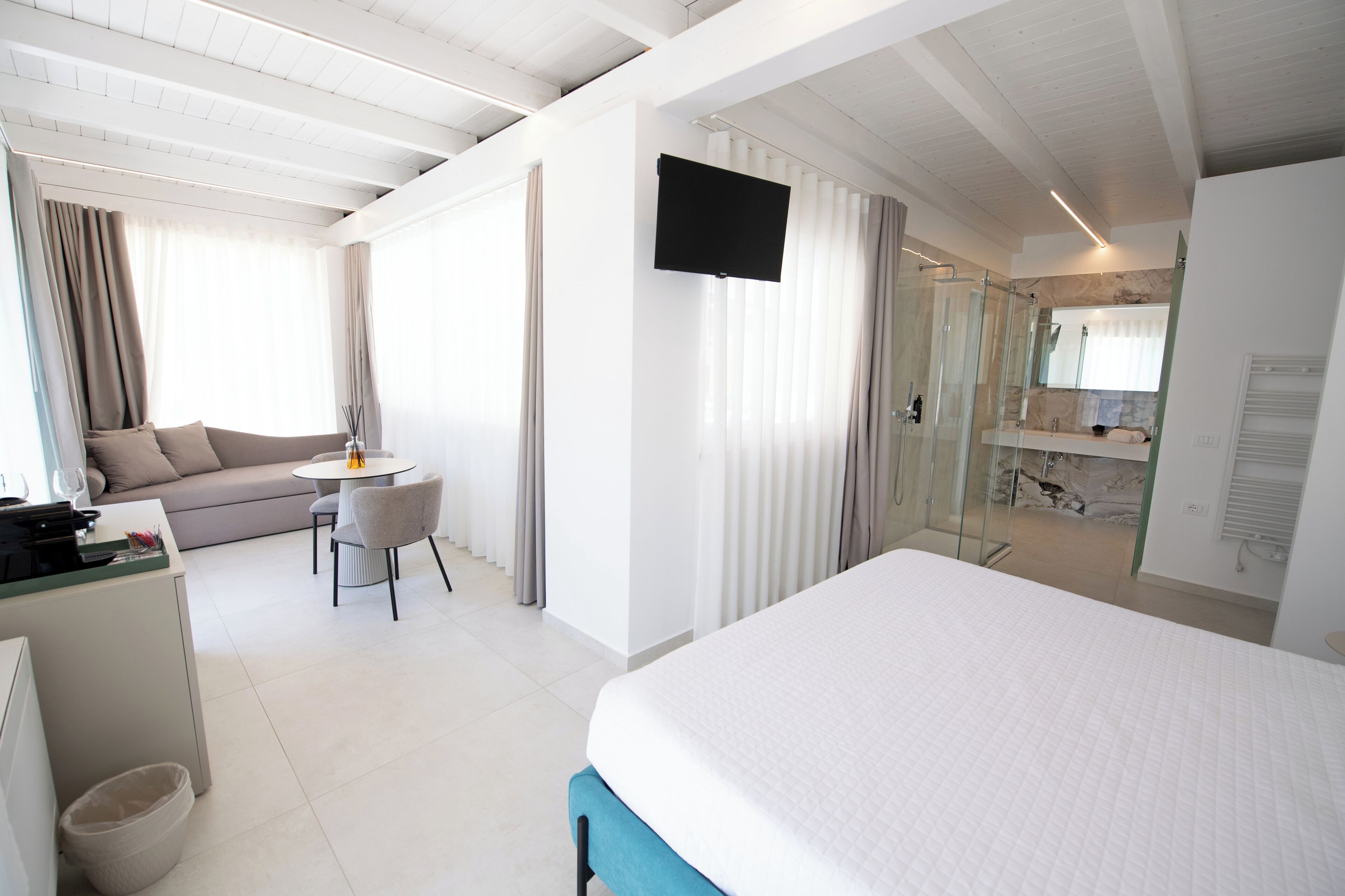 Een hotelkamer met een bed, een bureau met stoel, een bank, een aan de muur bevestigde televisie en een douche.