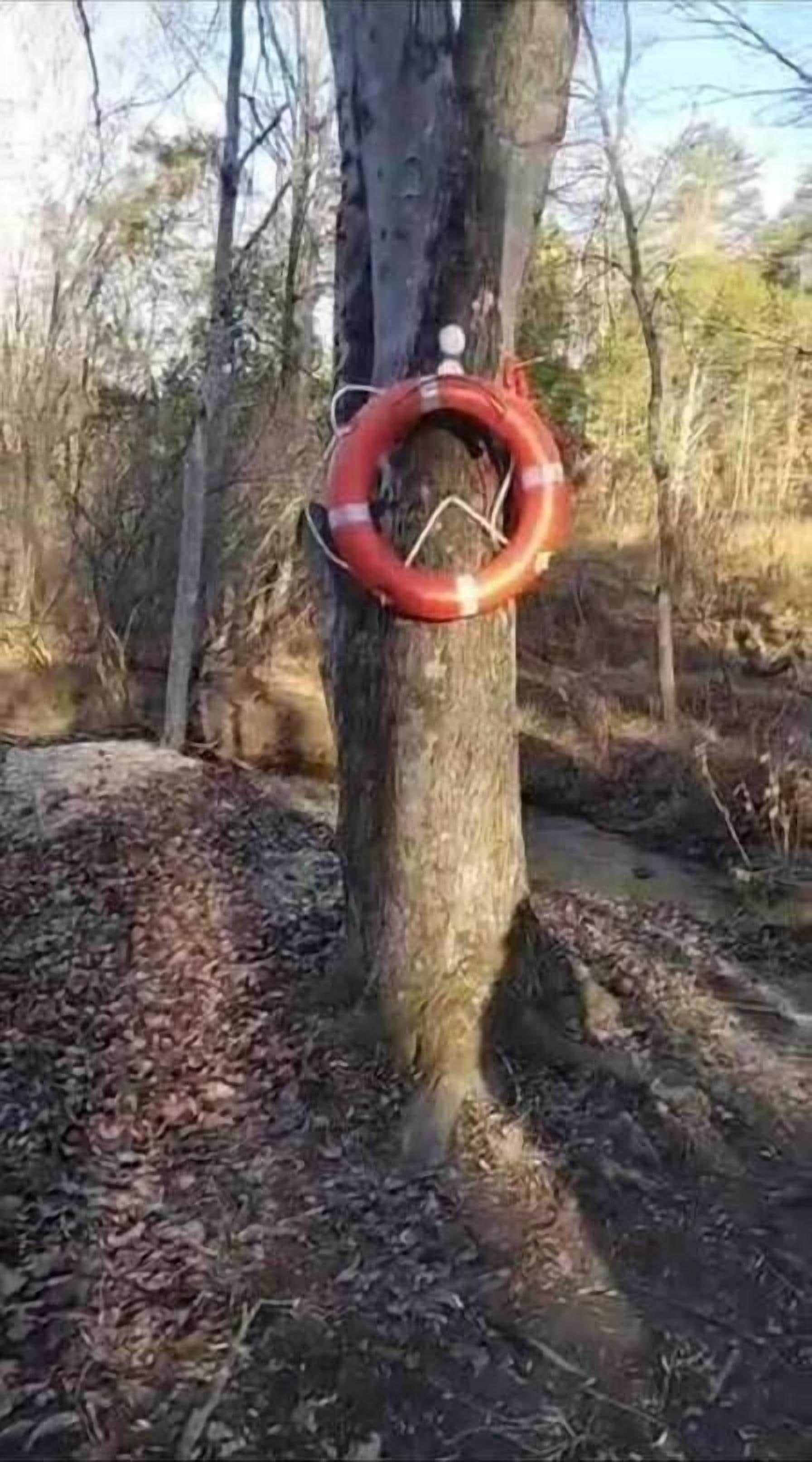 Övrigt