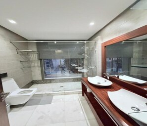 Een douche, een bidet, handdoeken, zeep