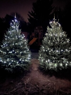 Zwei beleuchtete Weihnachtsbäume auf einem Gartenweg, der zu einem Gebäude führt.