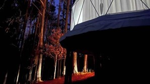 Una tenda a forma di cupola con un motivo geometrico, circondata da alberi.