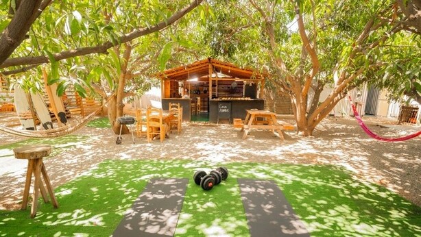 An outdoor area with a small wooden structure, possibly a café, surrounded by trees and green artificial turf.