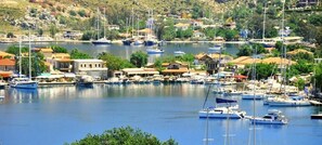 Un puerto deportivo con barcos amarrados, rodeado de edificios y vegetación.