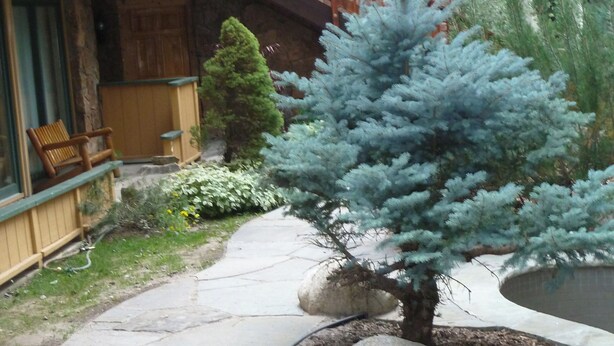 A stone pathway leading to a wooden building with a stone facade and a wooden deck. - Totally refreshed Studio. Central Core. Season thru Sept. 15 or 30 day min. (Aspen)