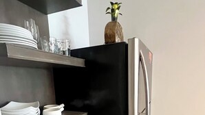 A kitchen with a black refrigerator, white shelves, and a small plant on top. - Totally refreshed Studio. Central Core. Season thru Sept. 15 or 30 day min. (Aspen)