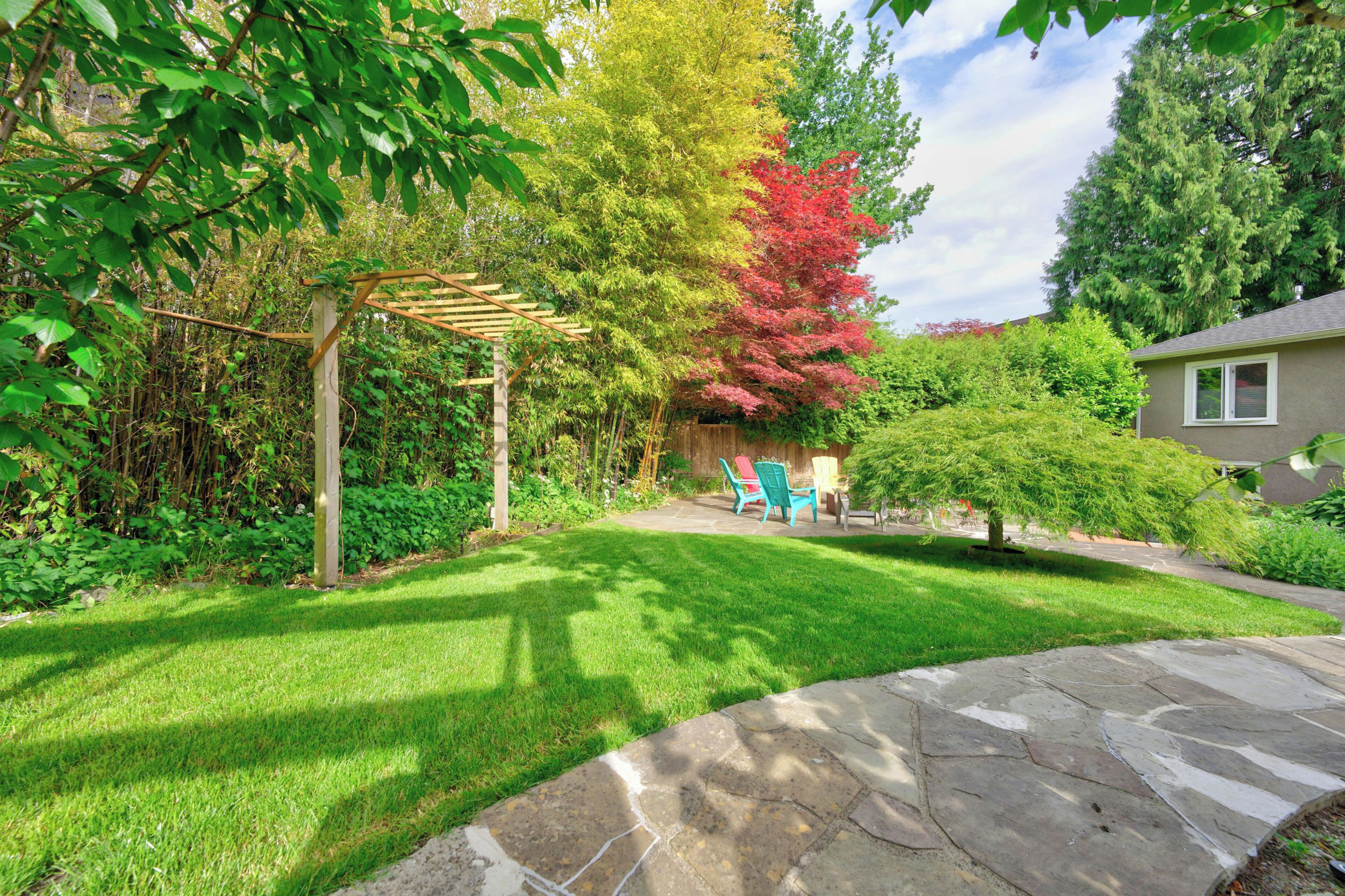 A backyard with a stone patio, a wooden pergola, and a lawn.