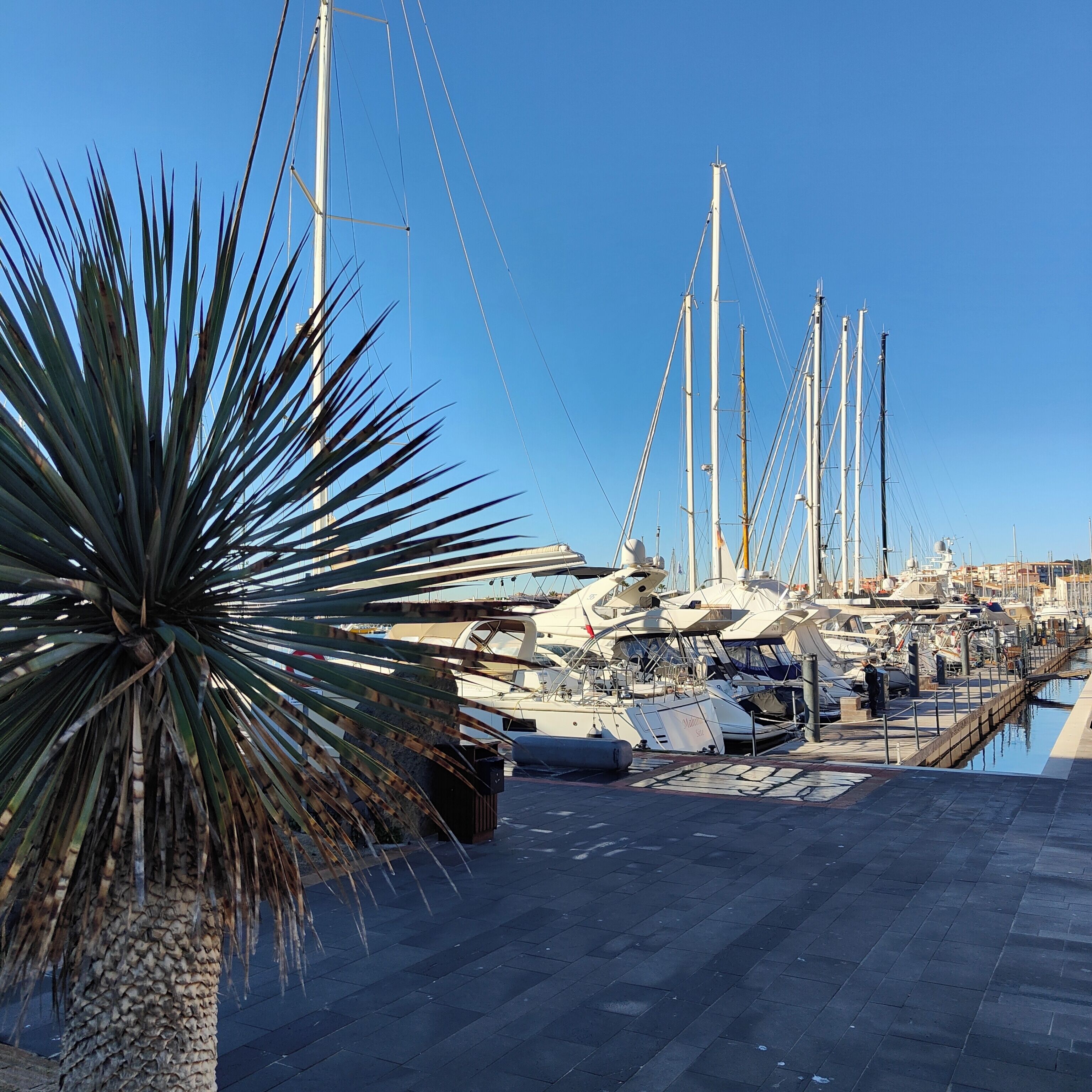 Marina