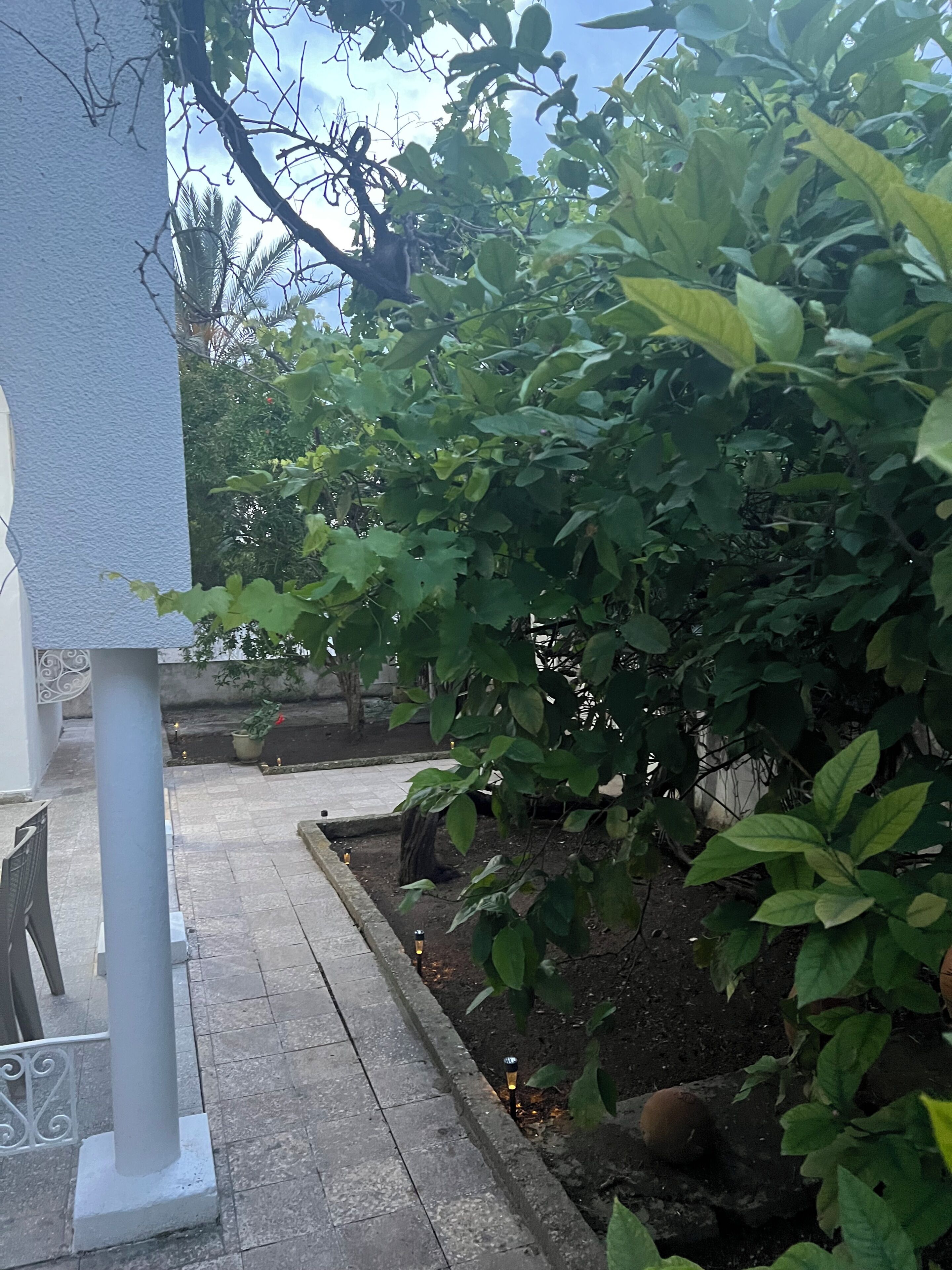 A garden area with a pathway, a white column, and dense foliage.. romana House: quiet location 10 min from airport snd 30 min drive to beaches!