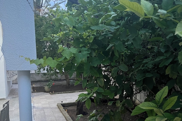 Terrenos do alojamento