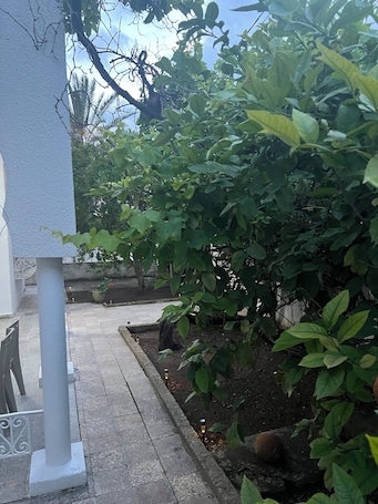 A garden area with a pathway, a white column, and dense foliage.. romana House: quiet location 10 min from airport snd 30 min drive to beaches!