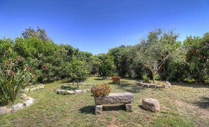 Property grounds - U Gozzi - AFA - Gîte (AFA)
