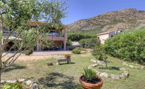 Property grounds - U Gozzi - AFA - Gîte (AFA)