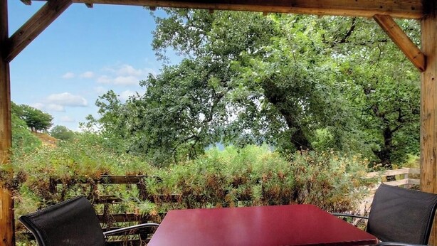 An outdoor seating area with a table and chairs, surrounded by lush greenery and trees. - Campo Sotano - VENACO (VENACO)