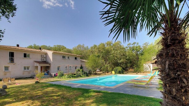 Ein Pool mit glatter, blauer Wasseroberfläche, eine Palme und ein Gebäude mit einem Ziegeldach.