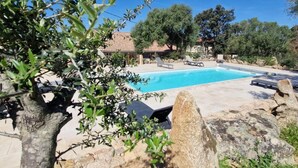 Ein Swimmingpool mit Liegestühlen, umgeben von Bäumen und Felsen.