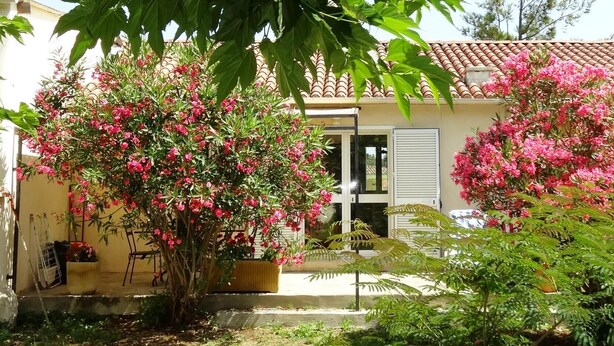 A house with a garden, a door, and a window. - PAMPASGIOLU - PRUNELLI DI FIUM'ORBO (PRUNELLI DI FIUM'ORBO)