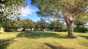 A grassy outdoor area with trees and a building in the background. - PAMPASGIOLU - PRUNELLI DI FIUM'ORBO (PRUNELLI DI FIUM'ORBO)