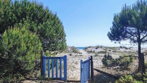 Ein Tor am Strand mit freiem Blick auf Strand und Meer.