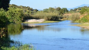 Een rustige rivier met omliggend groen en heuvels op de achtergrond.