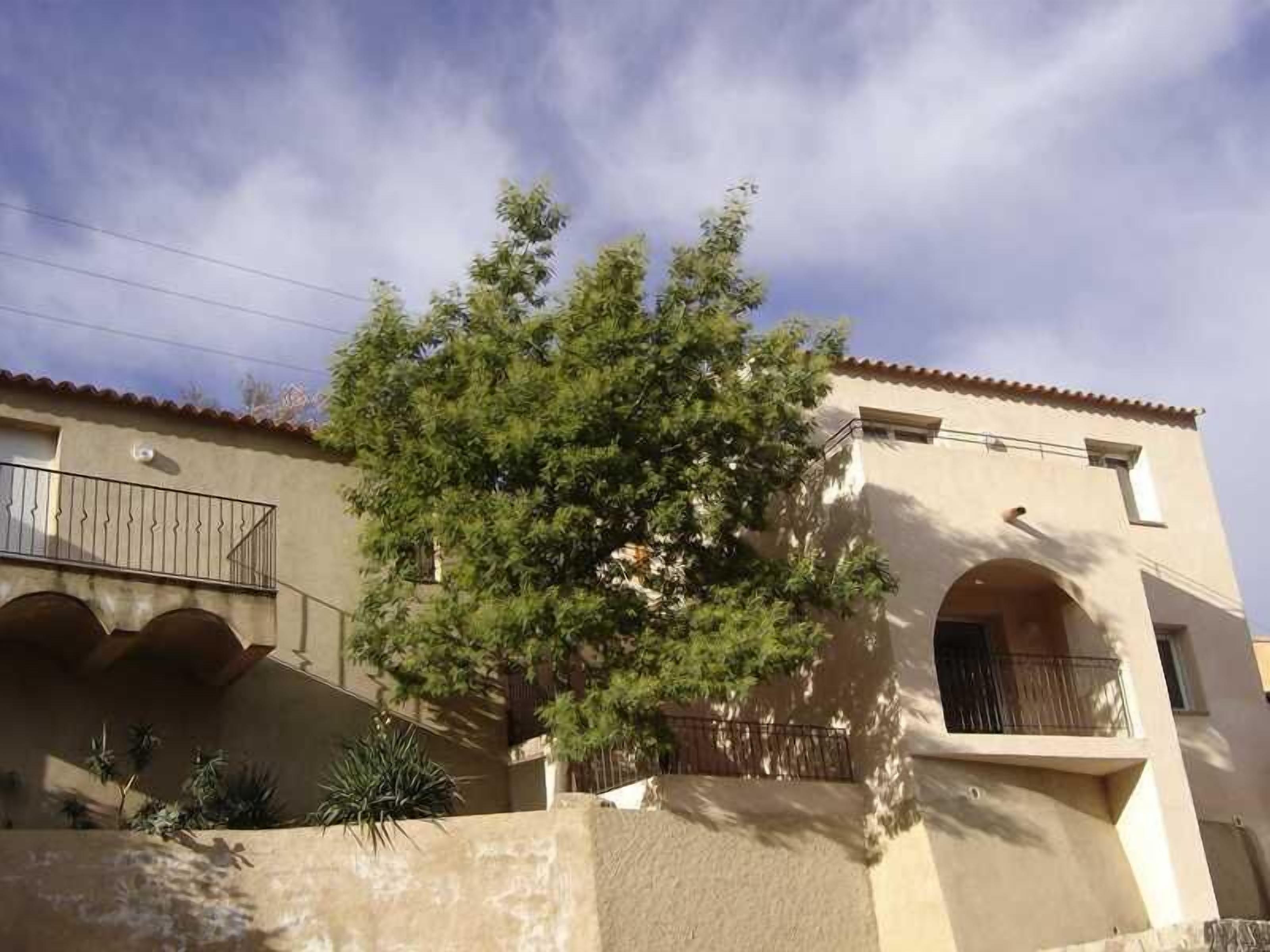 Un edificio con balcón, ventanas de arco y un árbol en primer plano.