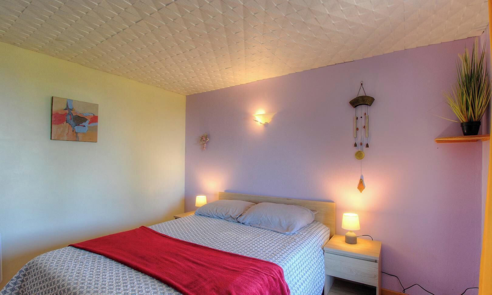 Un dormitorio con una cama, dos lámparas de noche, un aplique de pared, una planta colgante y un cuadro.