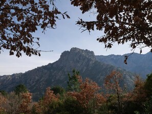 Eine Berglandschaft mit einem markanten Felsen, umgeben von Bäumen mit Herbstlaub.
