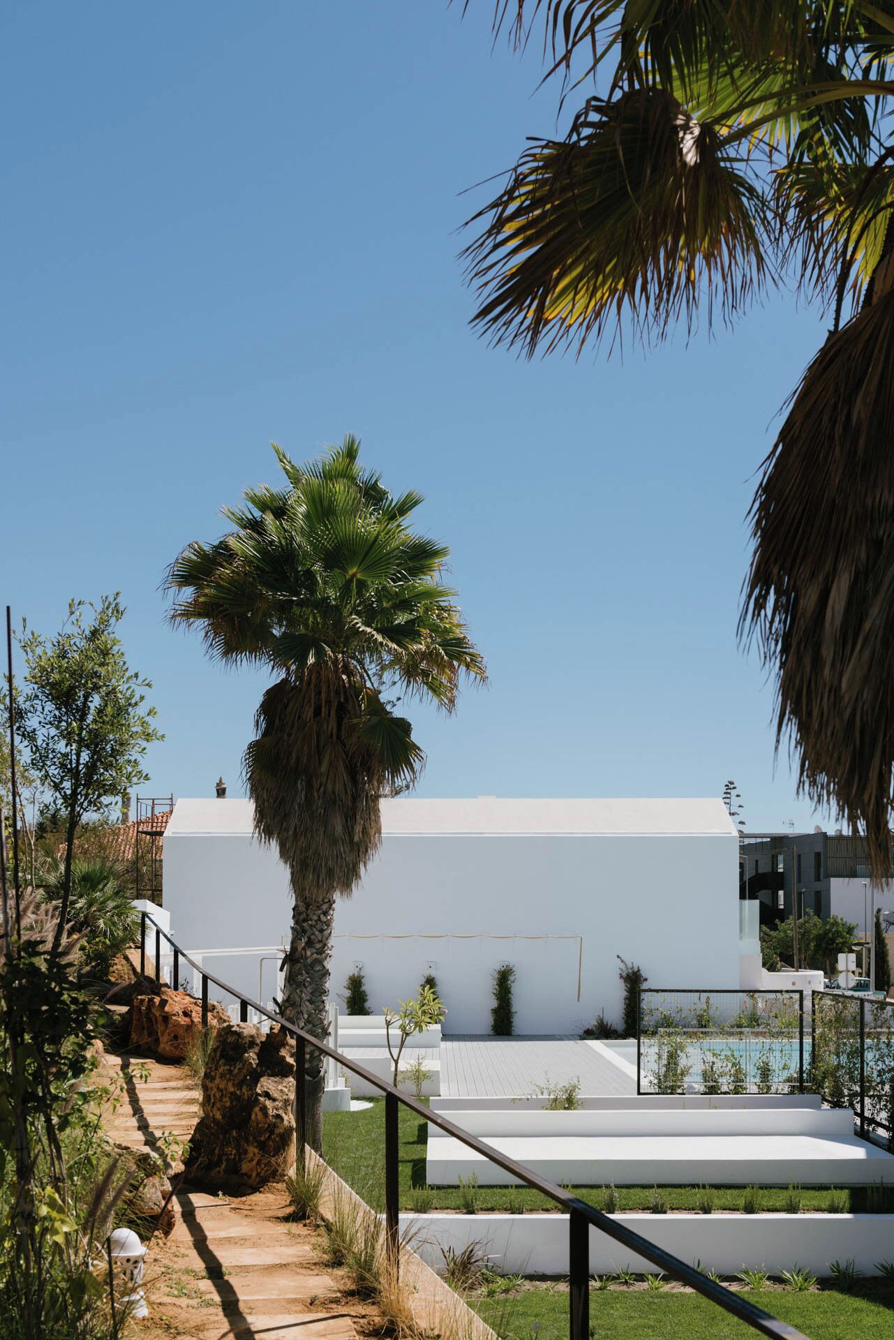 A modern building with a white facade, a palm tree, and a pool area.