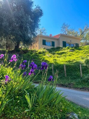 Ein Gebäude mit geneigtem Dach, umgeben von üppigem Grün und violetten Blumen.
