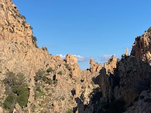 Eine zerklüftete Küstenlandschaft mit Felsen und vereinzelter Vegetation.