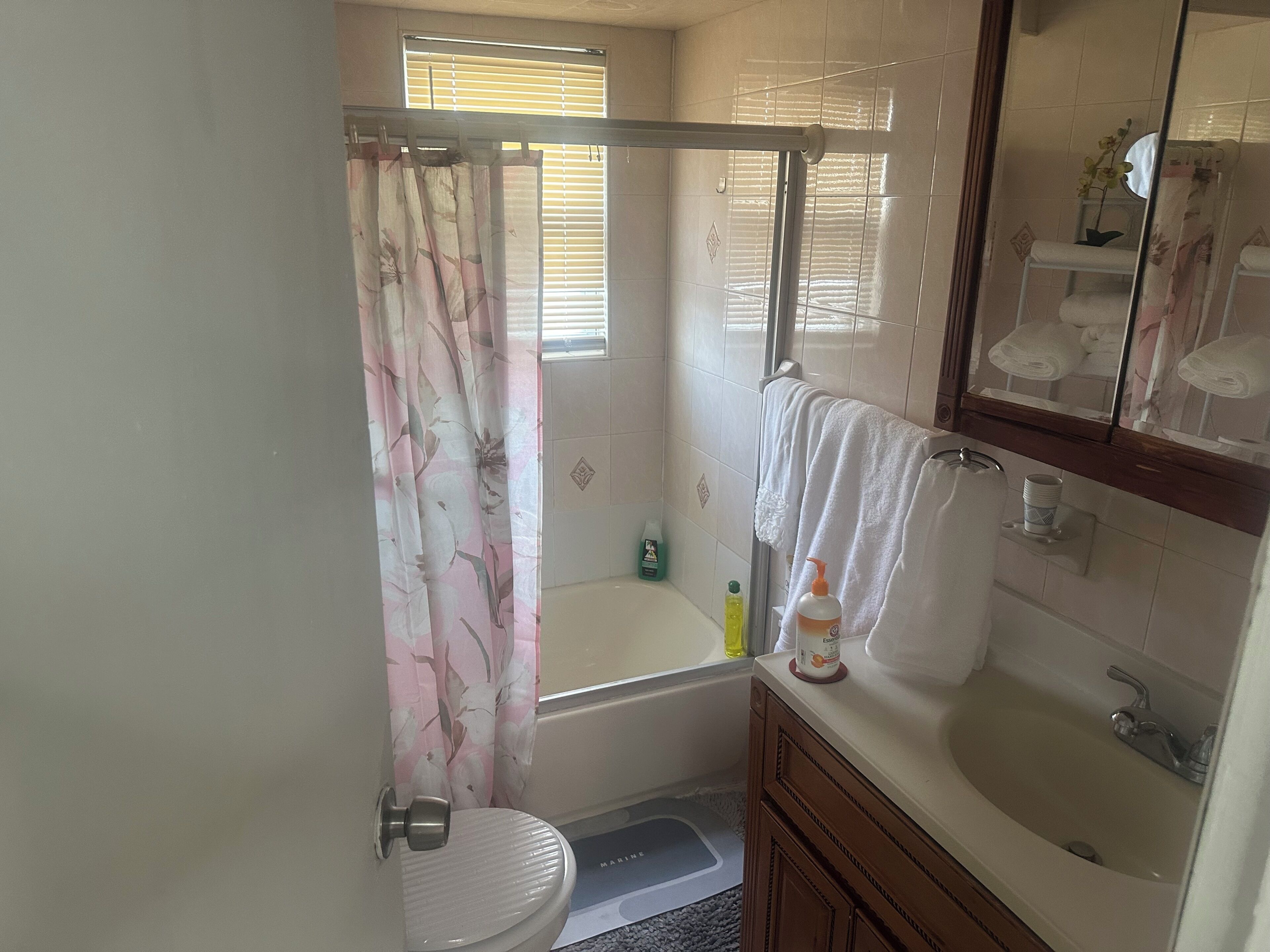 Hair dryer, towels, soap, toilet paper