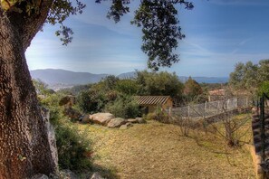Àrea exterior de l'allotjament
