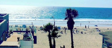 Una platja amb palmeres, gent i una vista clara de l'oceà.