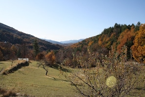 A rural landscape with a house, rolling hills, and autumn foliage. - The potter's cottage - PALNECA (PALNECA)