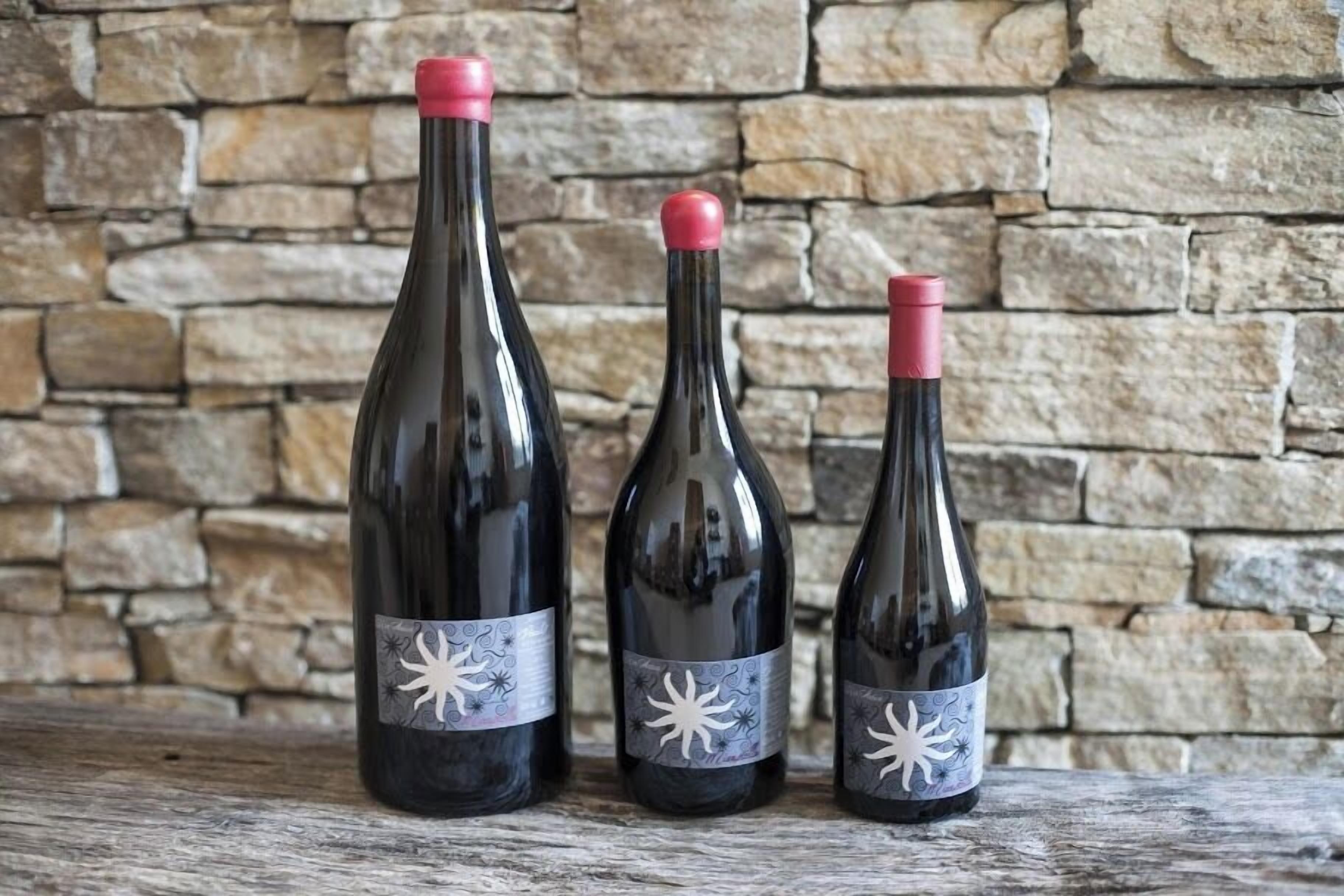 Three wine bottles with labels against a stone wall background.