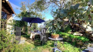 Jardí amb taula i cadires, un parasol blau i una reixa.