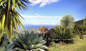 Eine Landschaft mit vielfältiger Vegetation und Blick auf den Ozean.