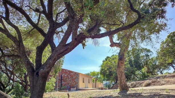 A building with a stone facade, surrounded by large trees. - Bella vista 4 - SAINTE LUCIE DE PORTO VECCHIO (SAINTE LUCIE DE PORTO VECCHIO)